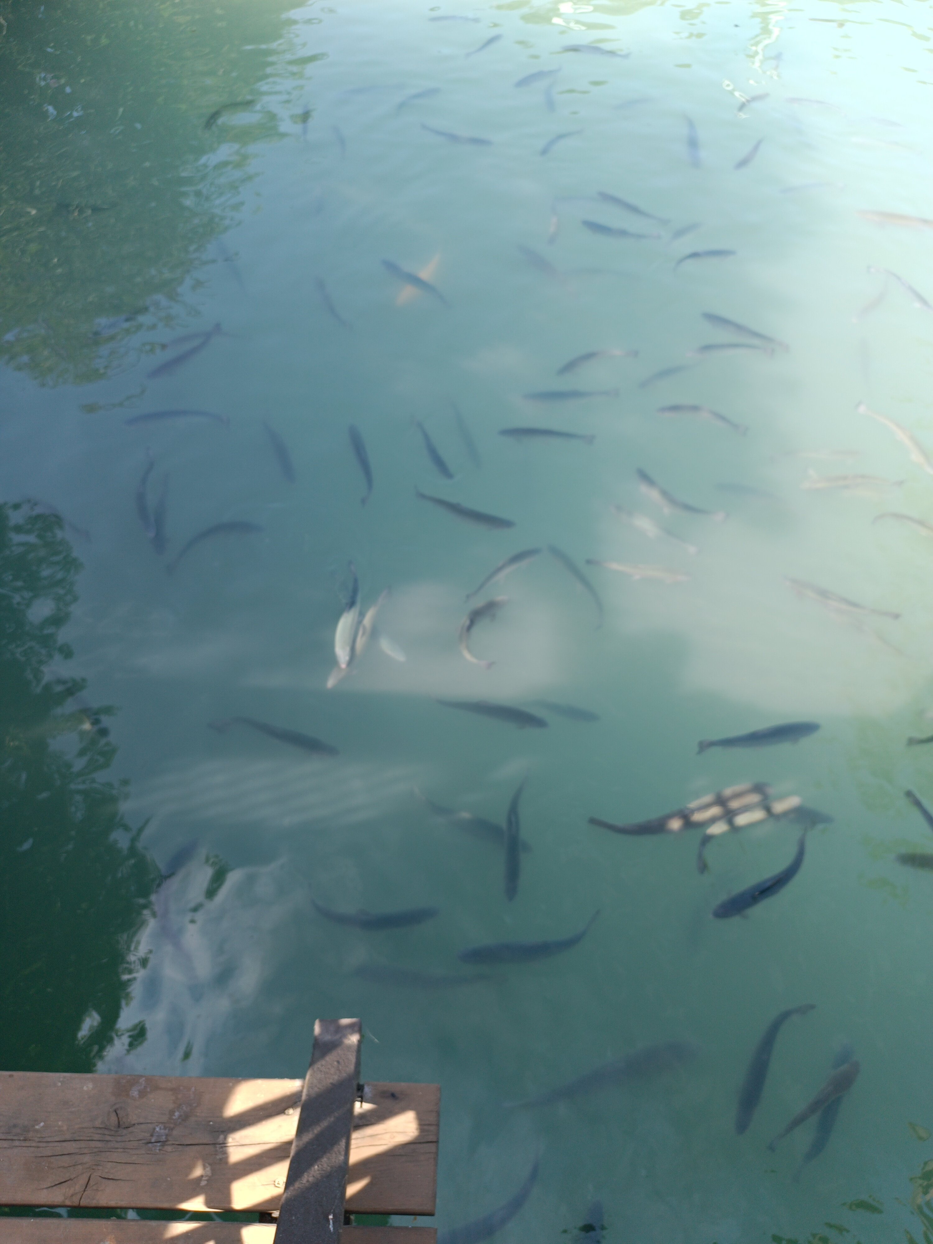 Фото Главрыба