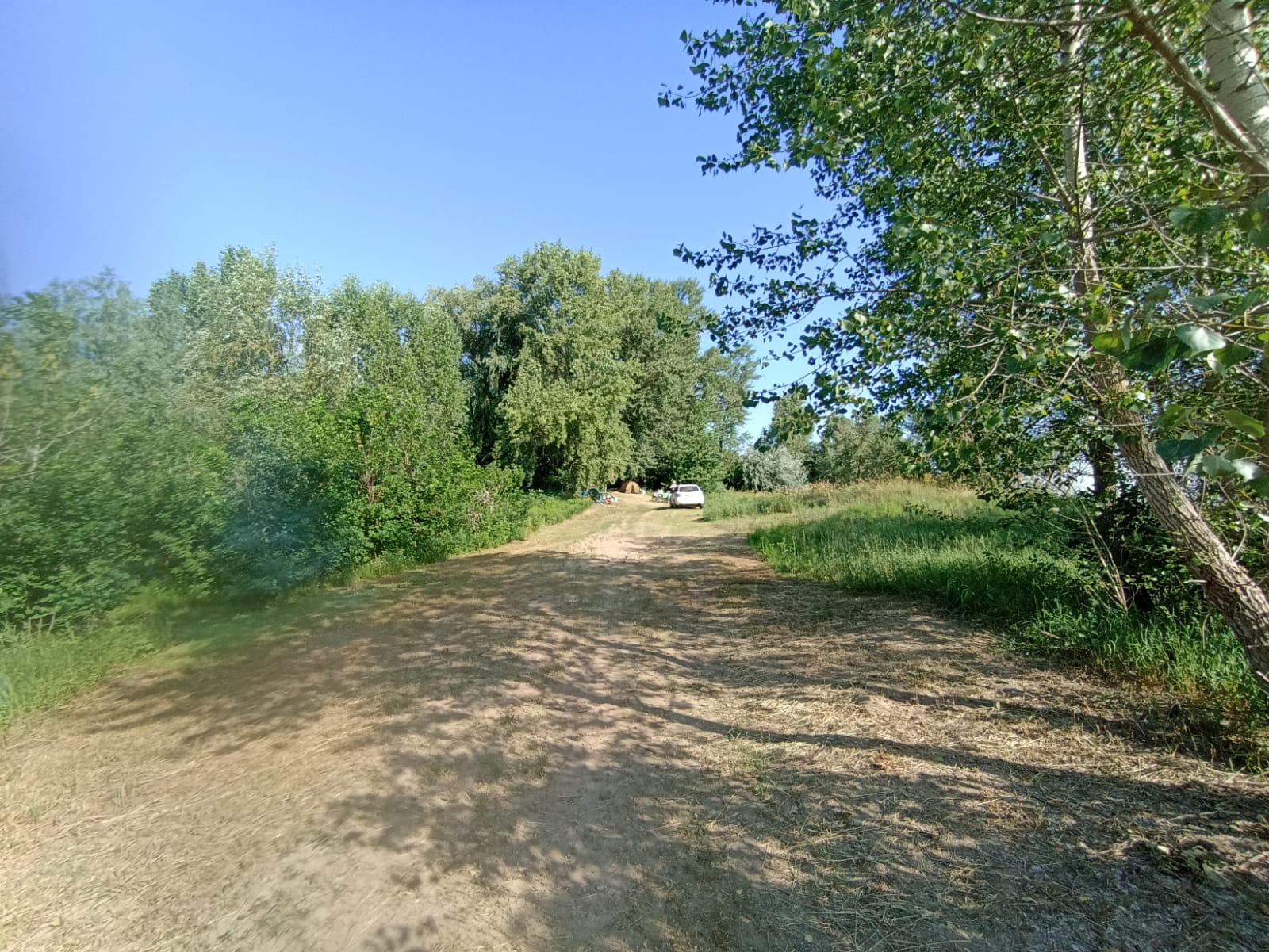 Фото Ветерок