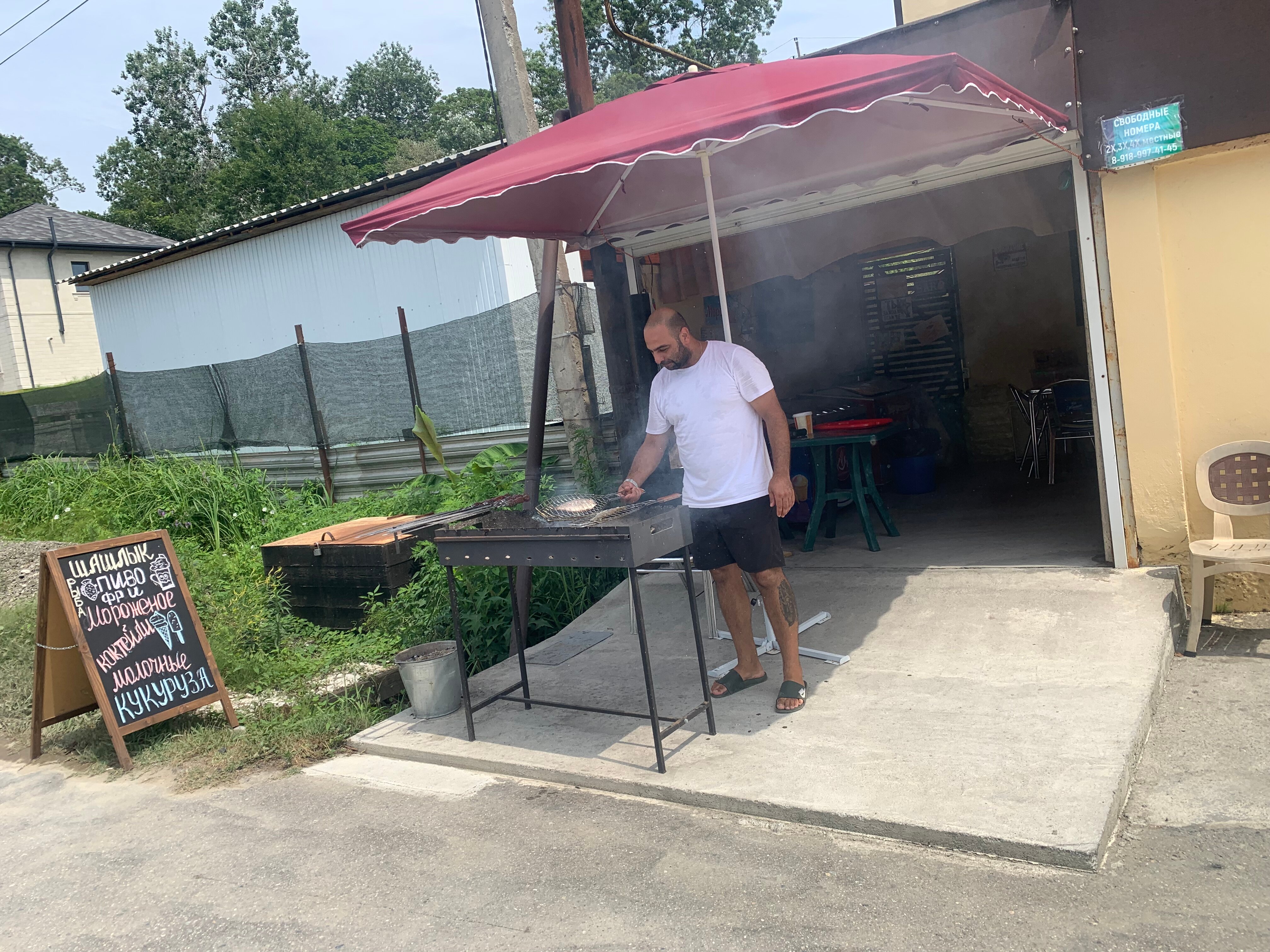 Фото Пальма