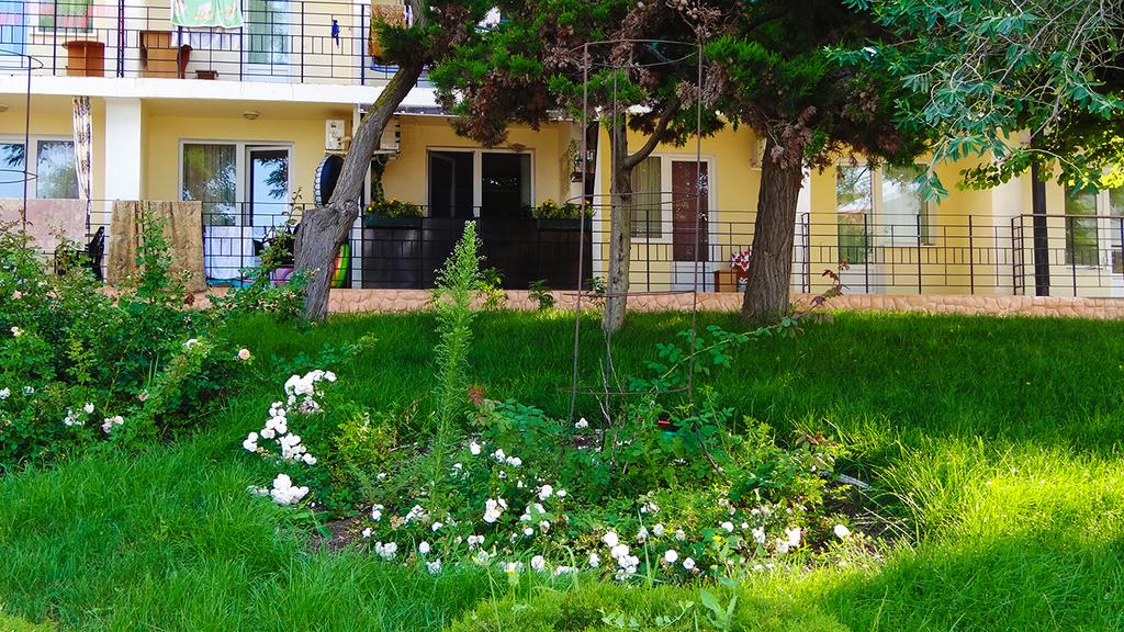 Фото Звёздный