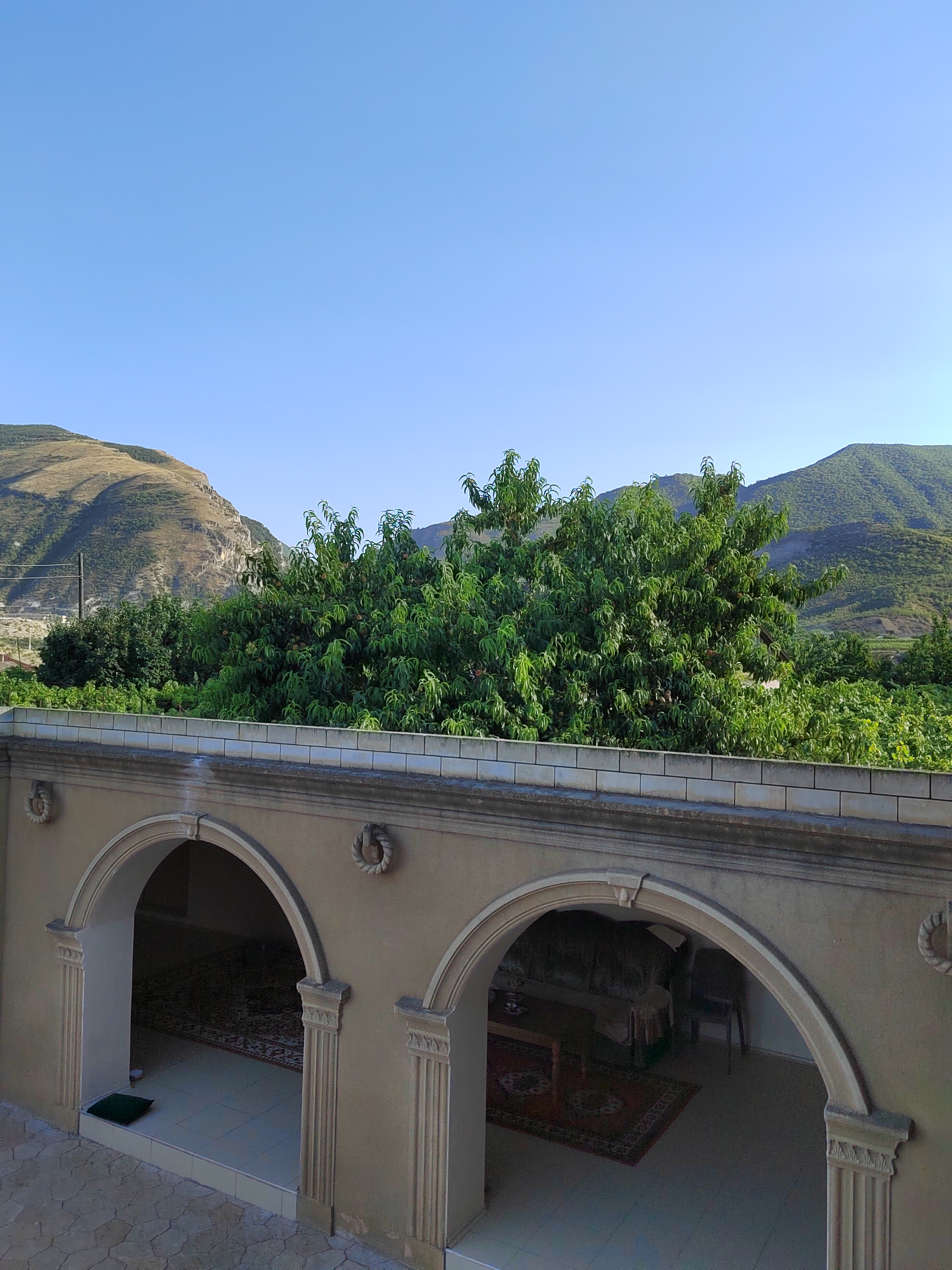 Фото У Амины