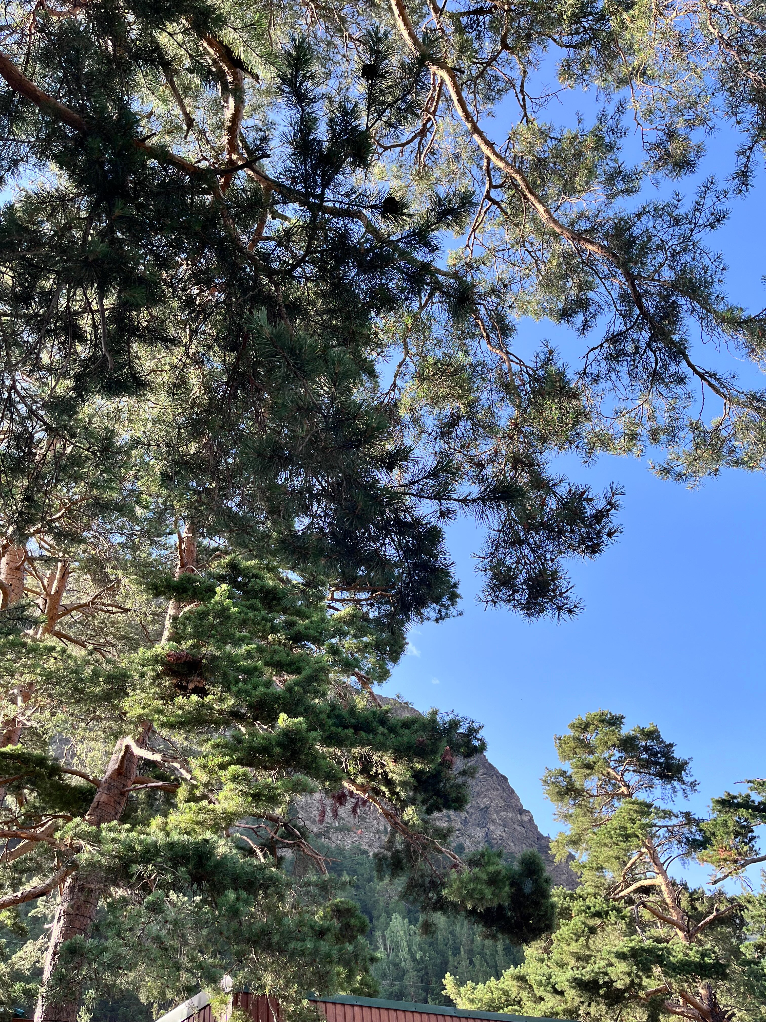 Фото Пик Европы