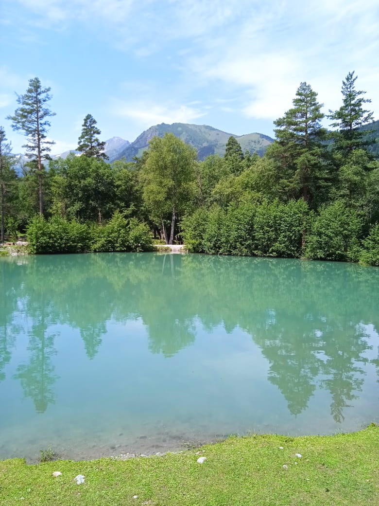 Фото Форест коттедж