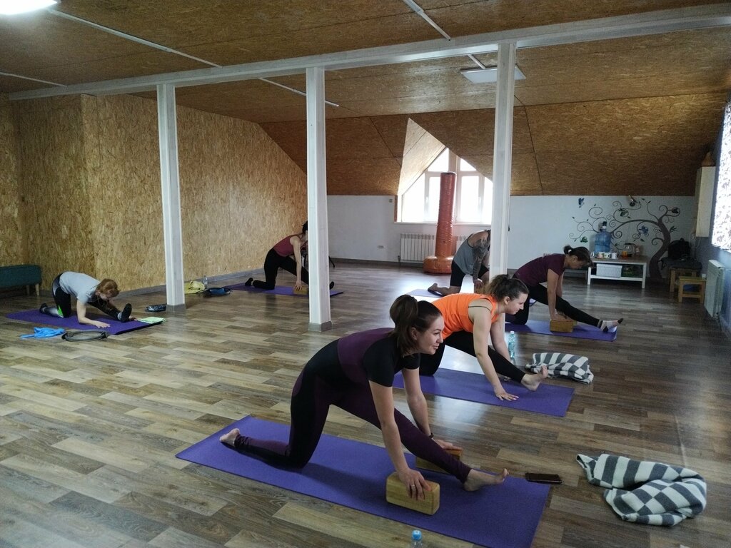 Yoga studio Йост, Novosibirsk Oblast, photo