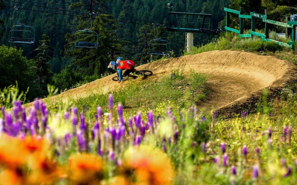 Фото The Cozy Osito