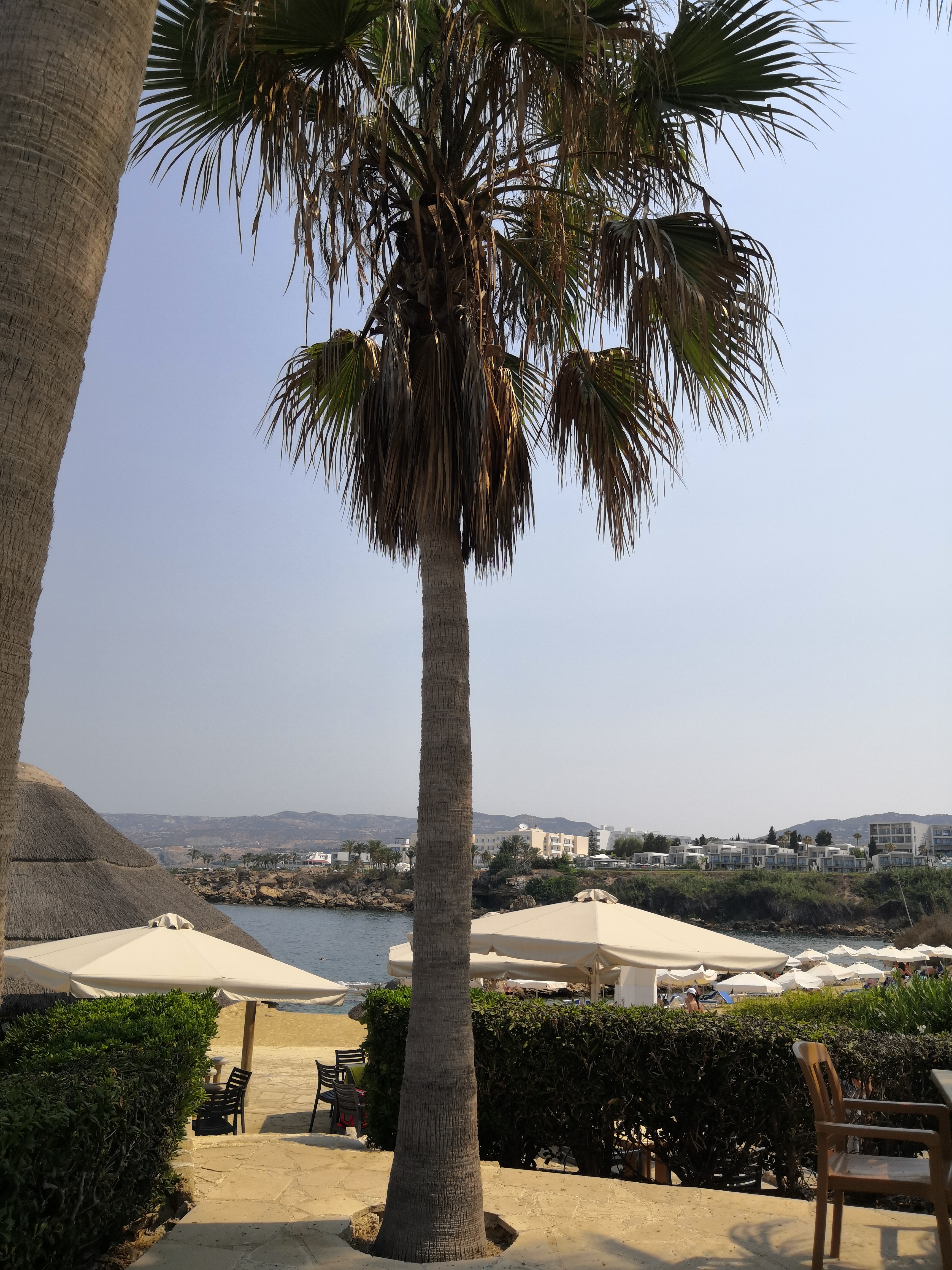 Фото Cynthiana Beach Hotel