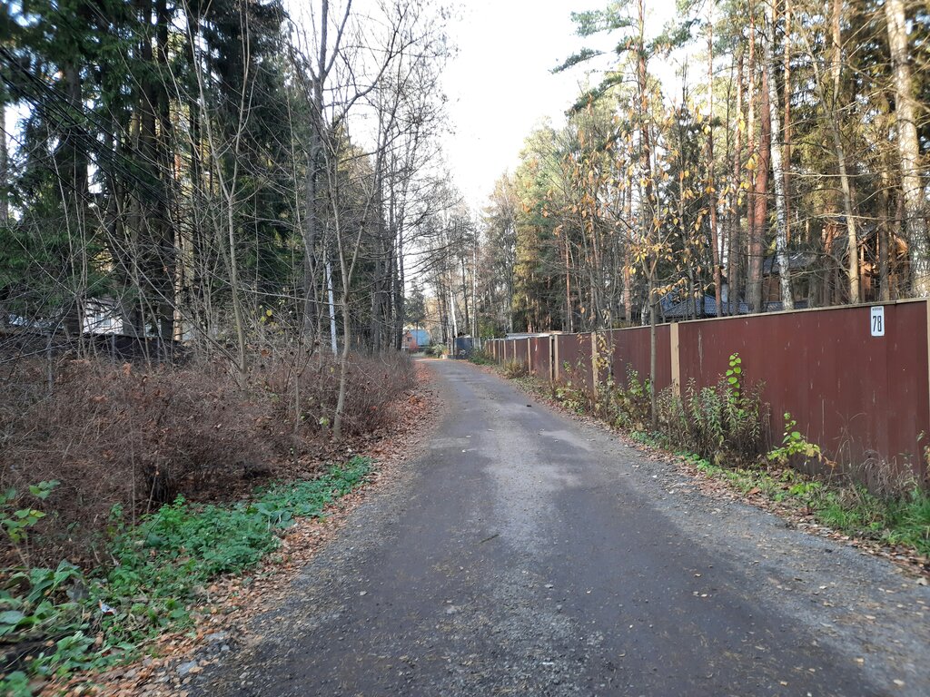 Gardeners' partnerships and societies Pervomaysky poselok, Moscow and Moscow Oblast, photo