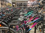 Snaryaga (Dzerzhinskogo Street, 40), sports store