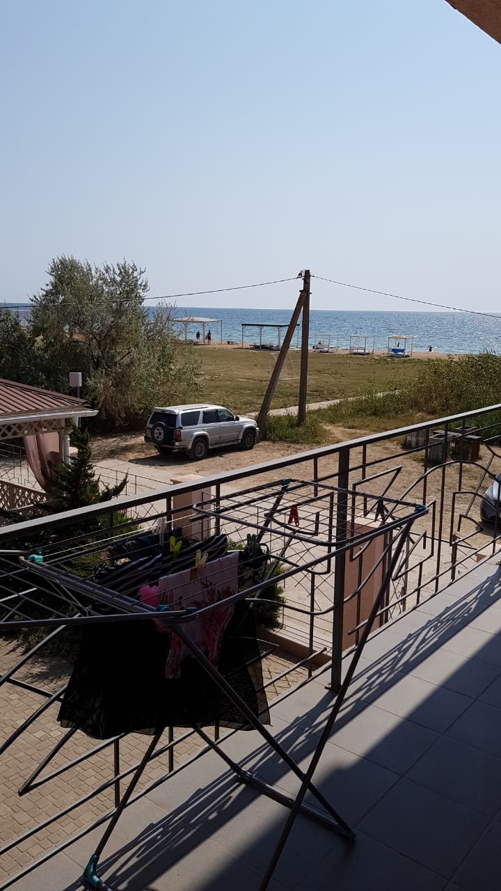 Фото Шафран