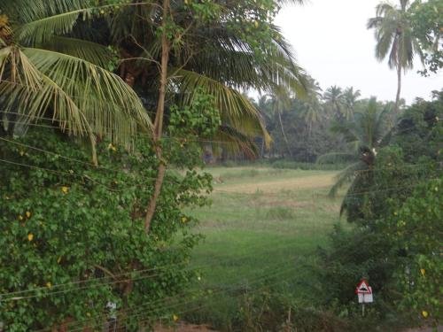 Фото Silver Star Homes