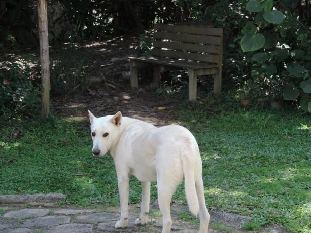 Фото Eco-Residencial Dona Francisca