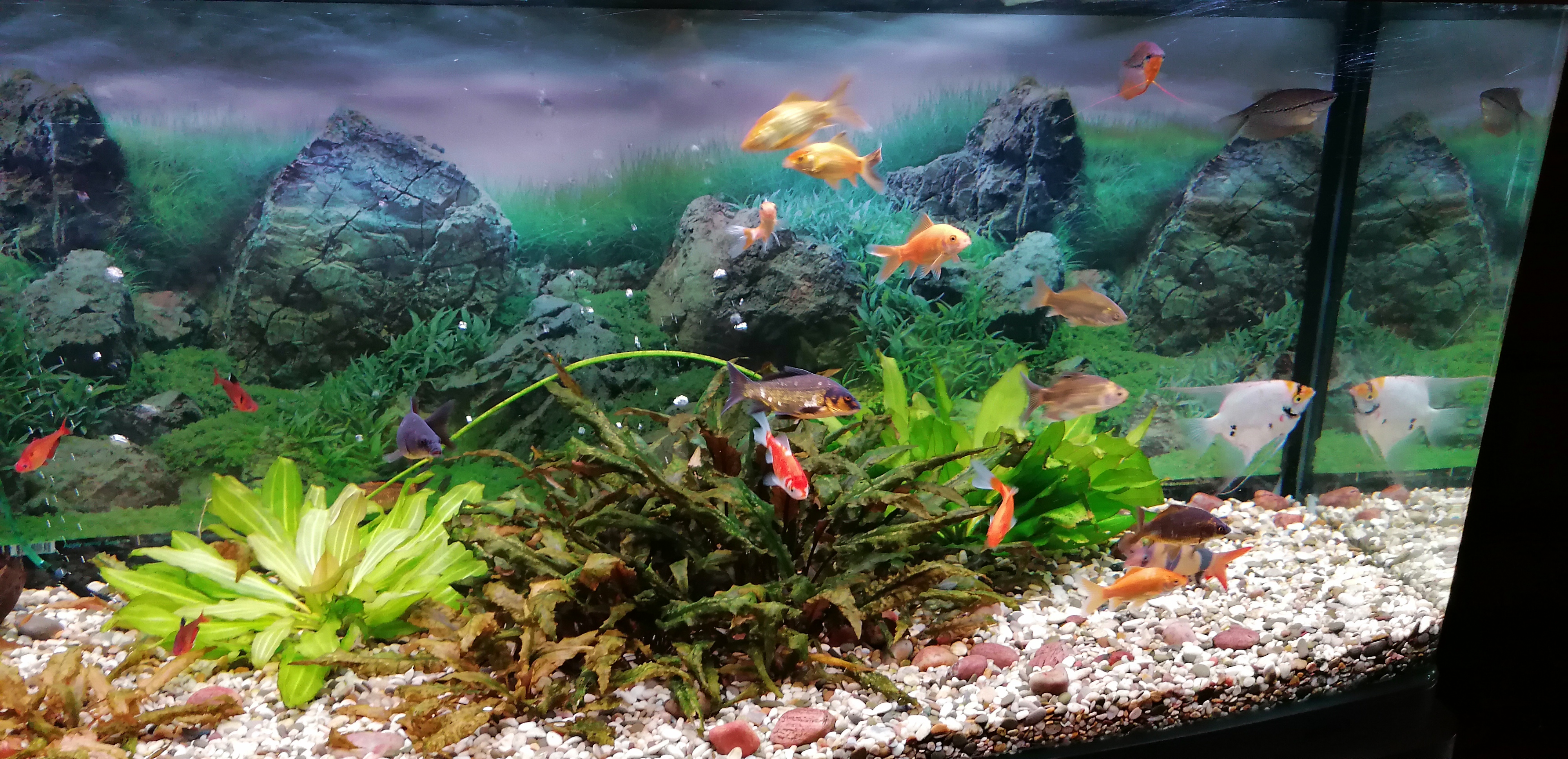 Фото Восьмая миля