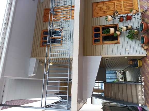 Фото Айвори