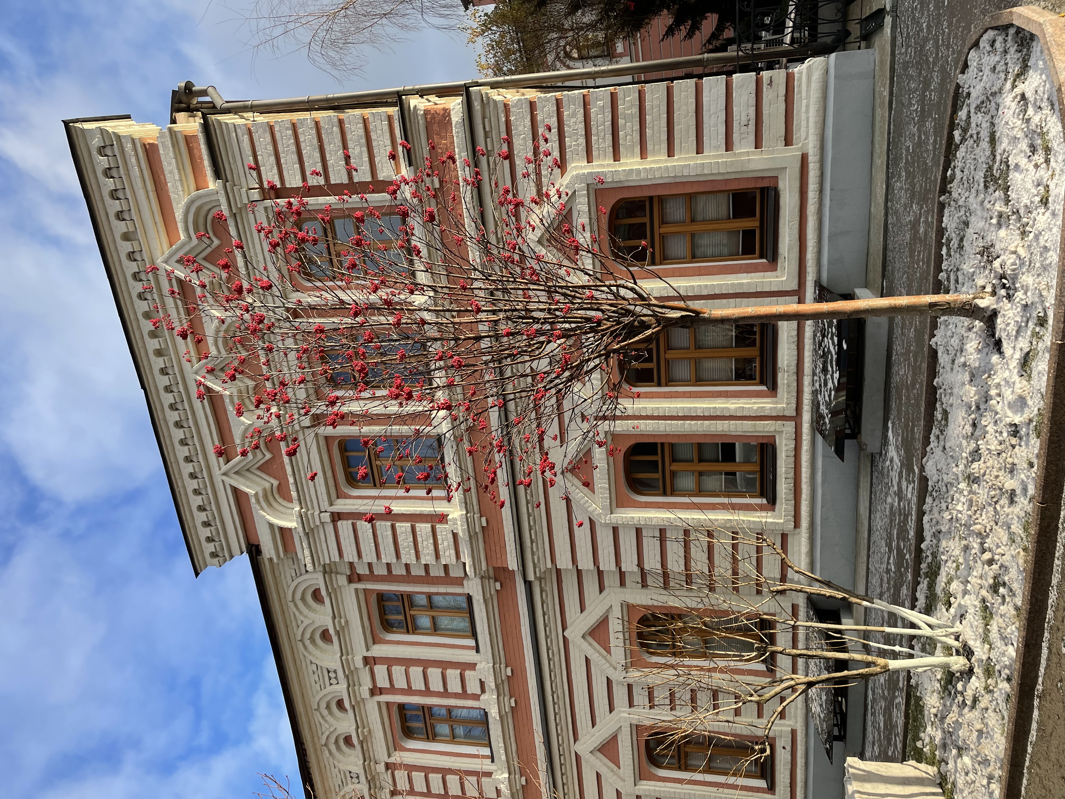 Фото Покровская