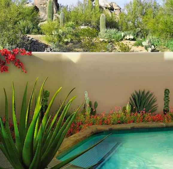 Фото Four Seasons Resorts Scottsdale at Troon North