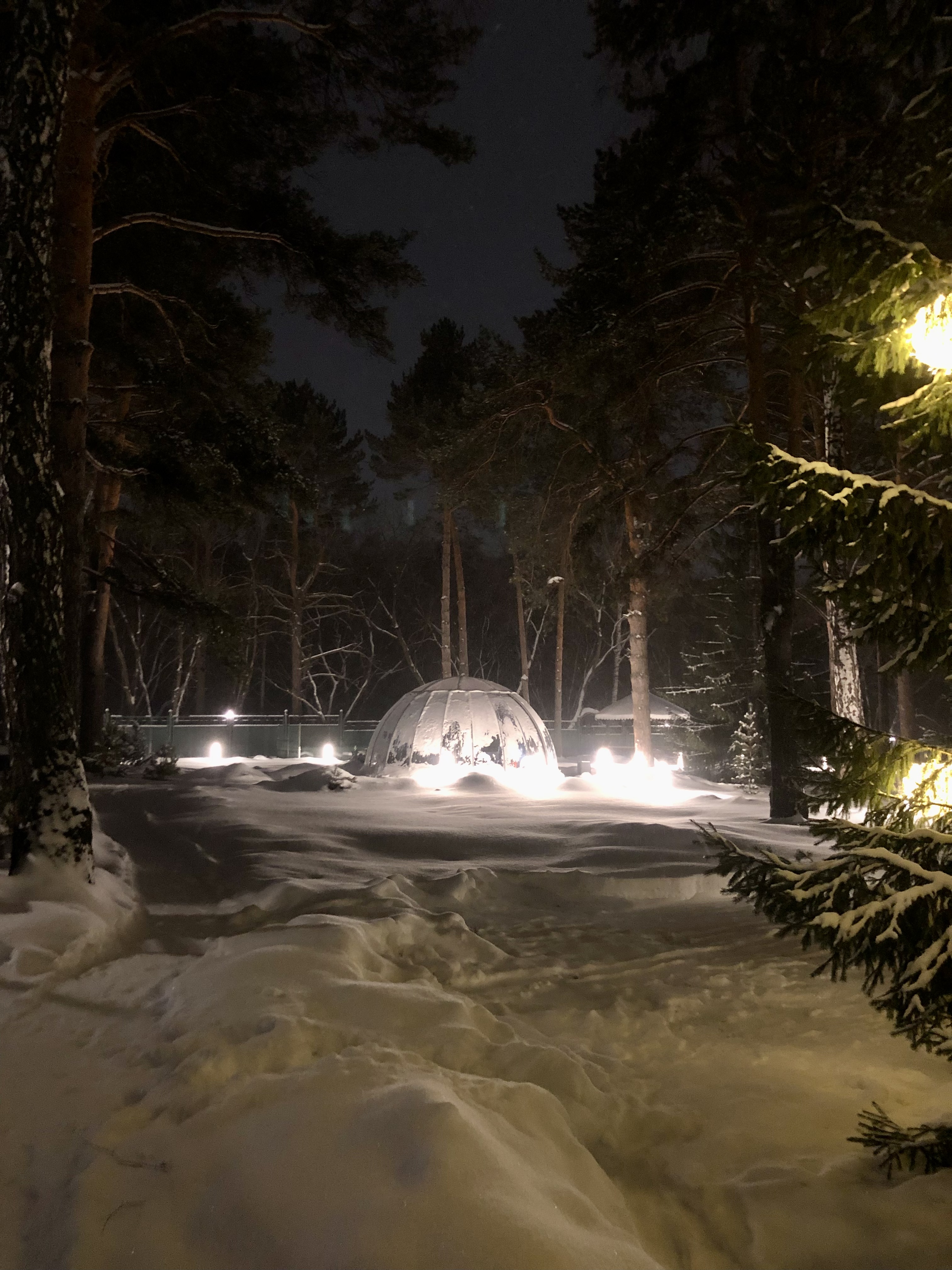 Фото Сосновый бор