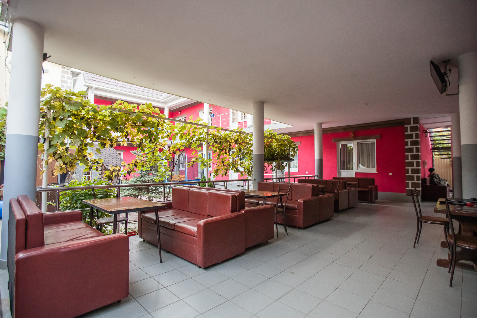 Фото Малина