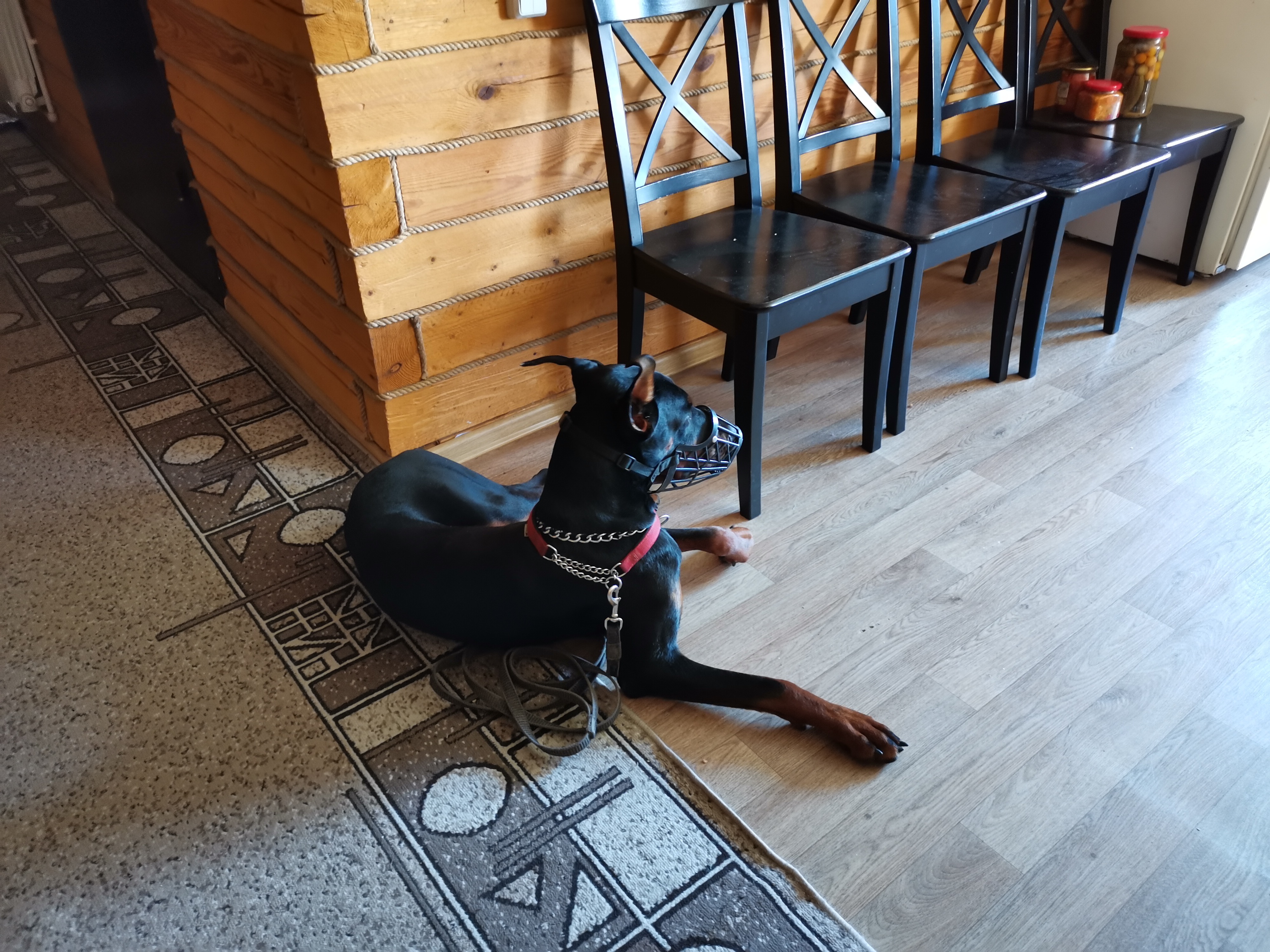 Фото Гостевой дом Кинтереп