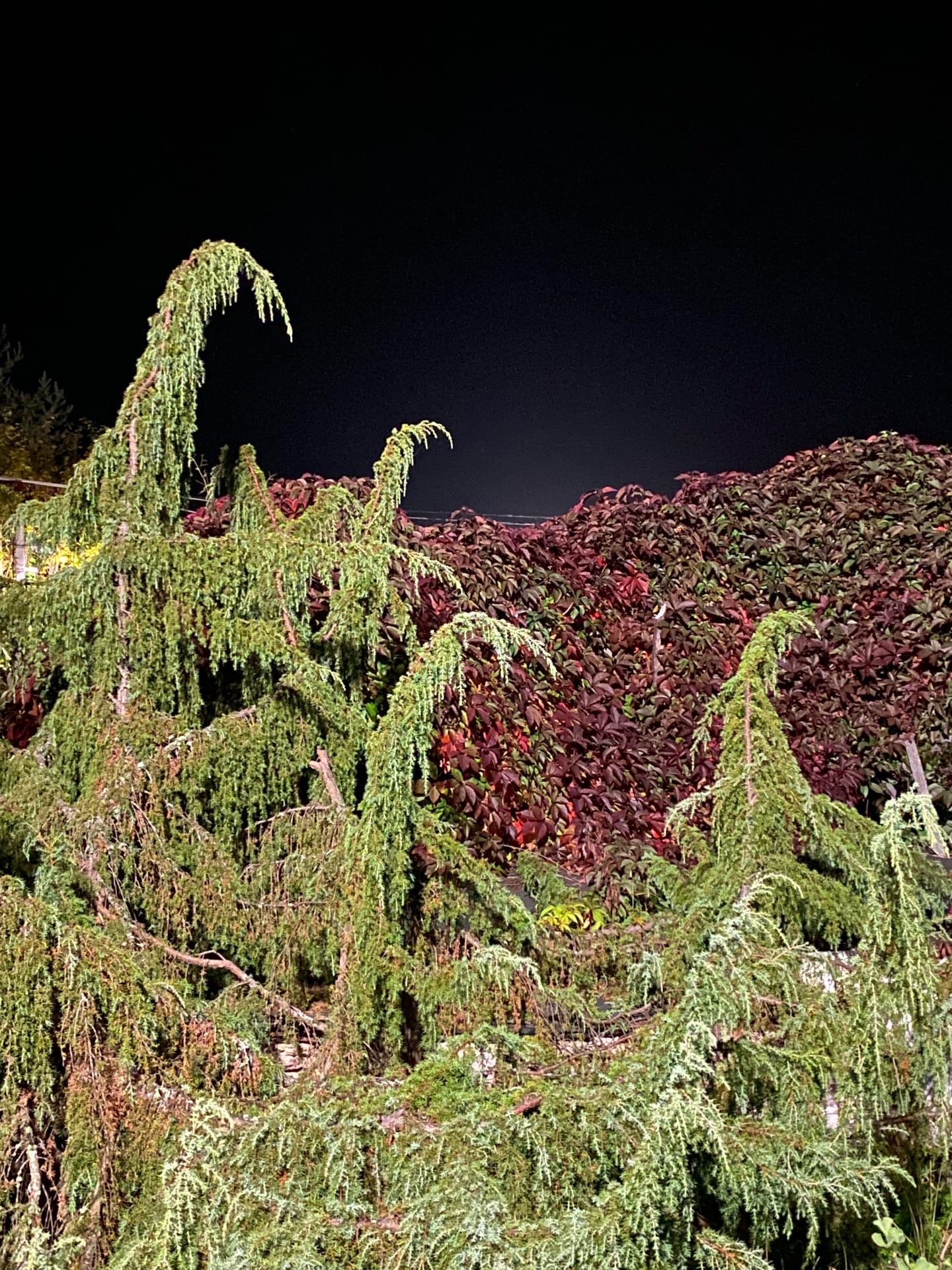 Фото Центр отдыха Усадьба Ястребино