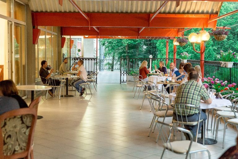 Фото Лебедь