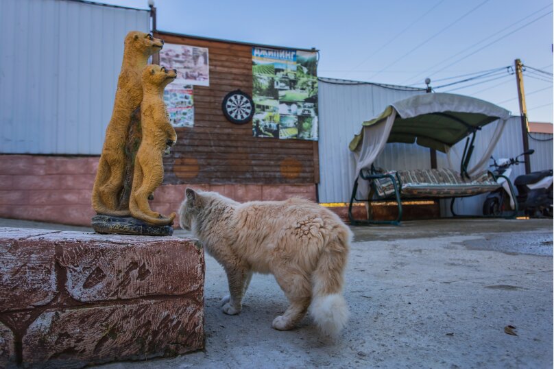 Фото Динара