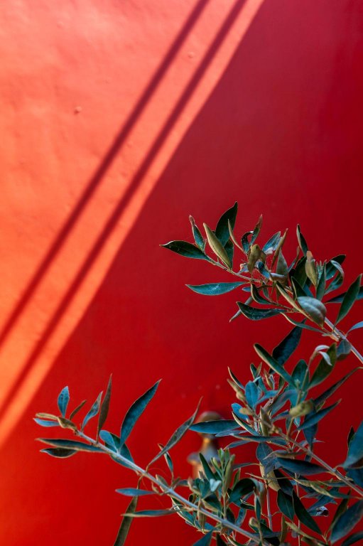 Фото Auberge 32 Old Town