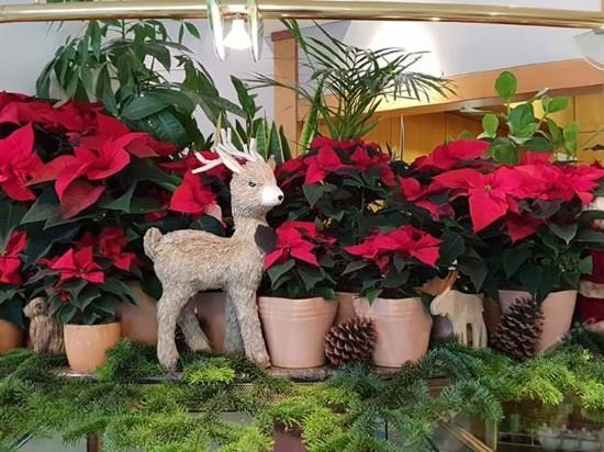 Фото Hotel Unger