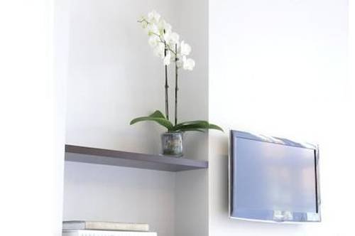 Фото San Miguel Santiago