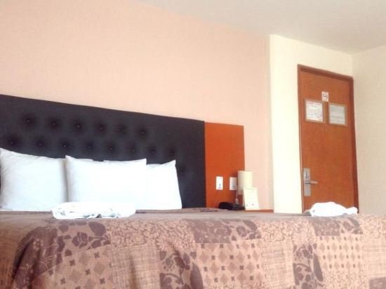 Фото Hotel Castropol