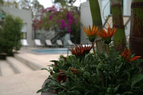 Гостиница Casa Tepoztlán в Штате Морелос