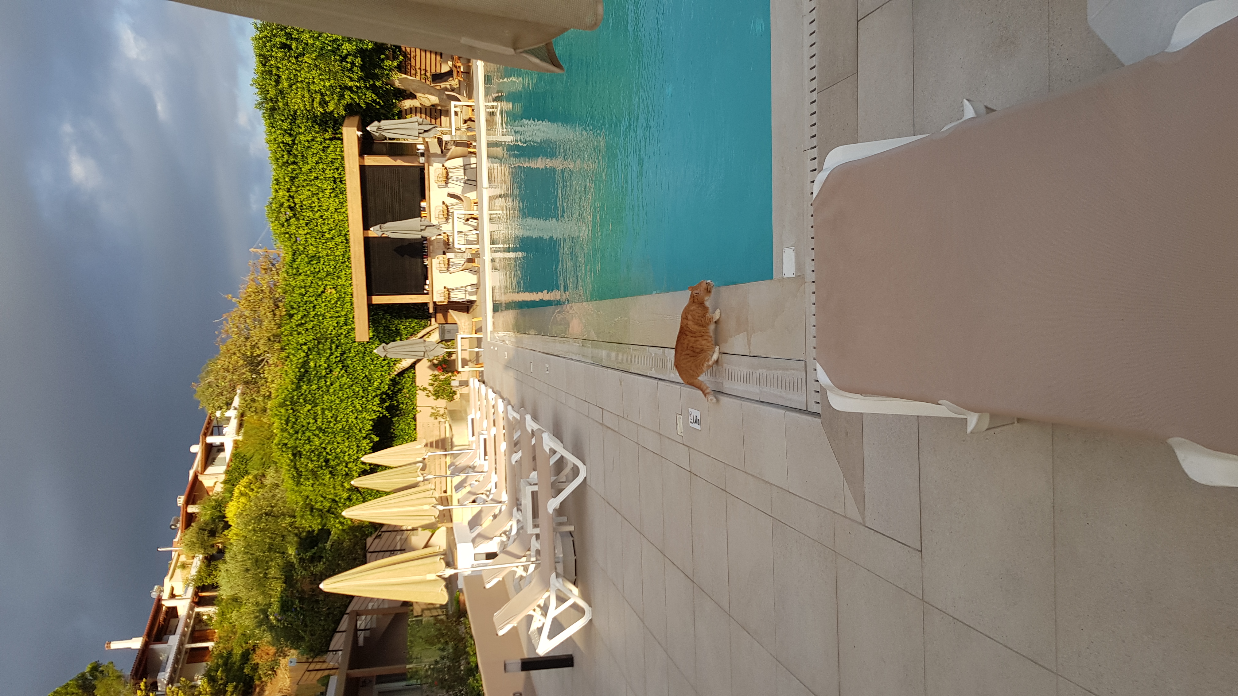 Фото Irida Hotel