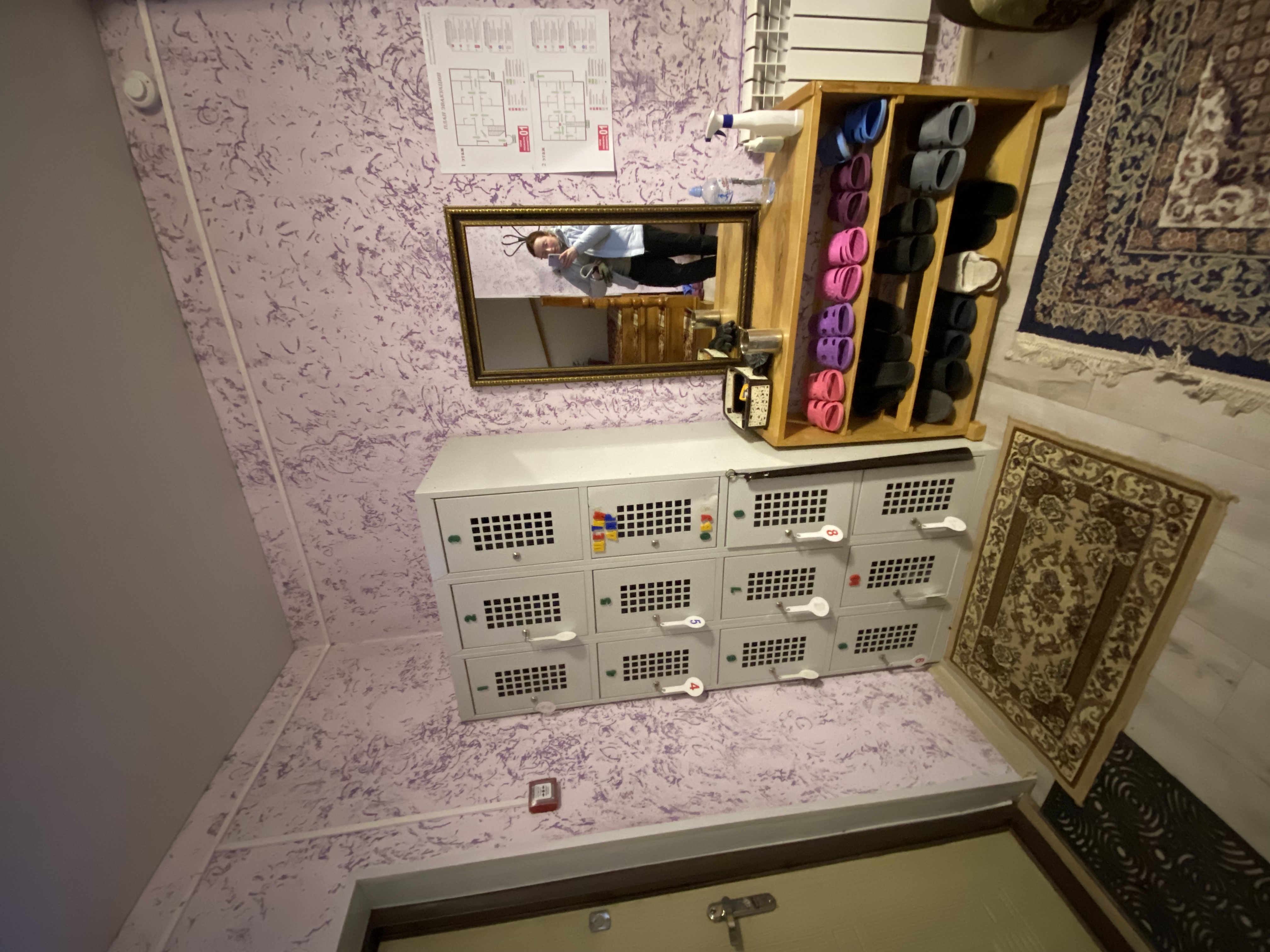 Фото Роза ветров