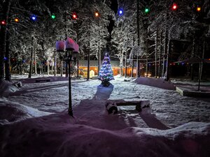 Большая медведица