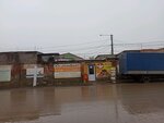 Халал (Рыбинская ул., 25М), яйцо и мясо птицы в Астрахани