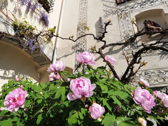 Фото Renaissancehotel Raffelsberger Hof