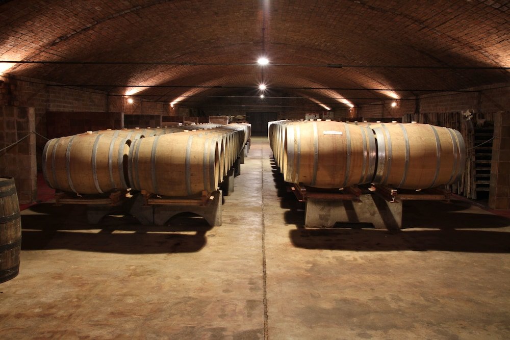 Фото Carmelo Hostel & Garden