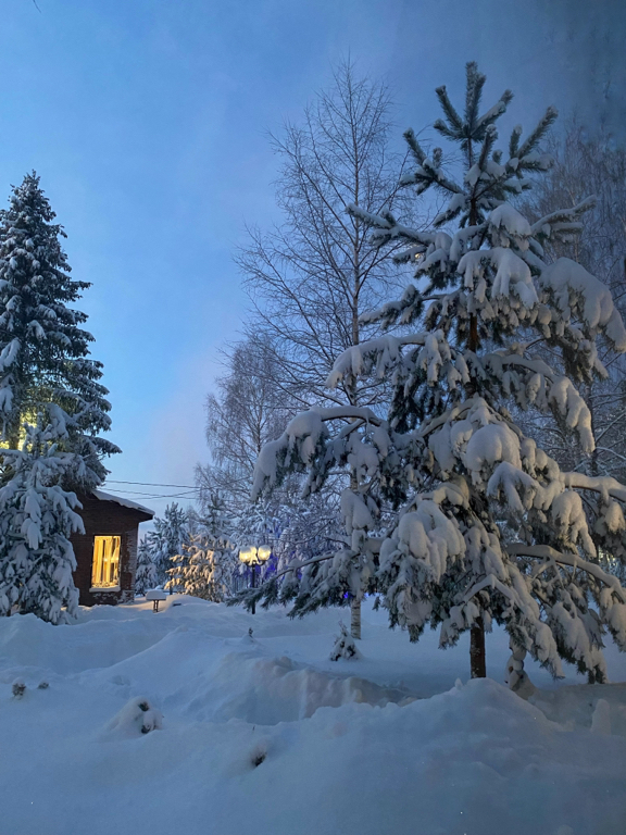 Фото Пять звезд