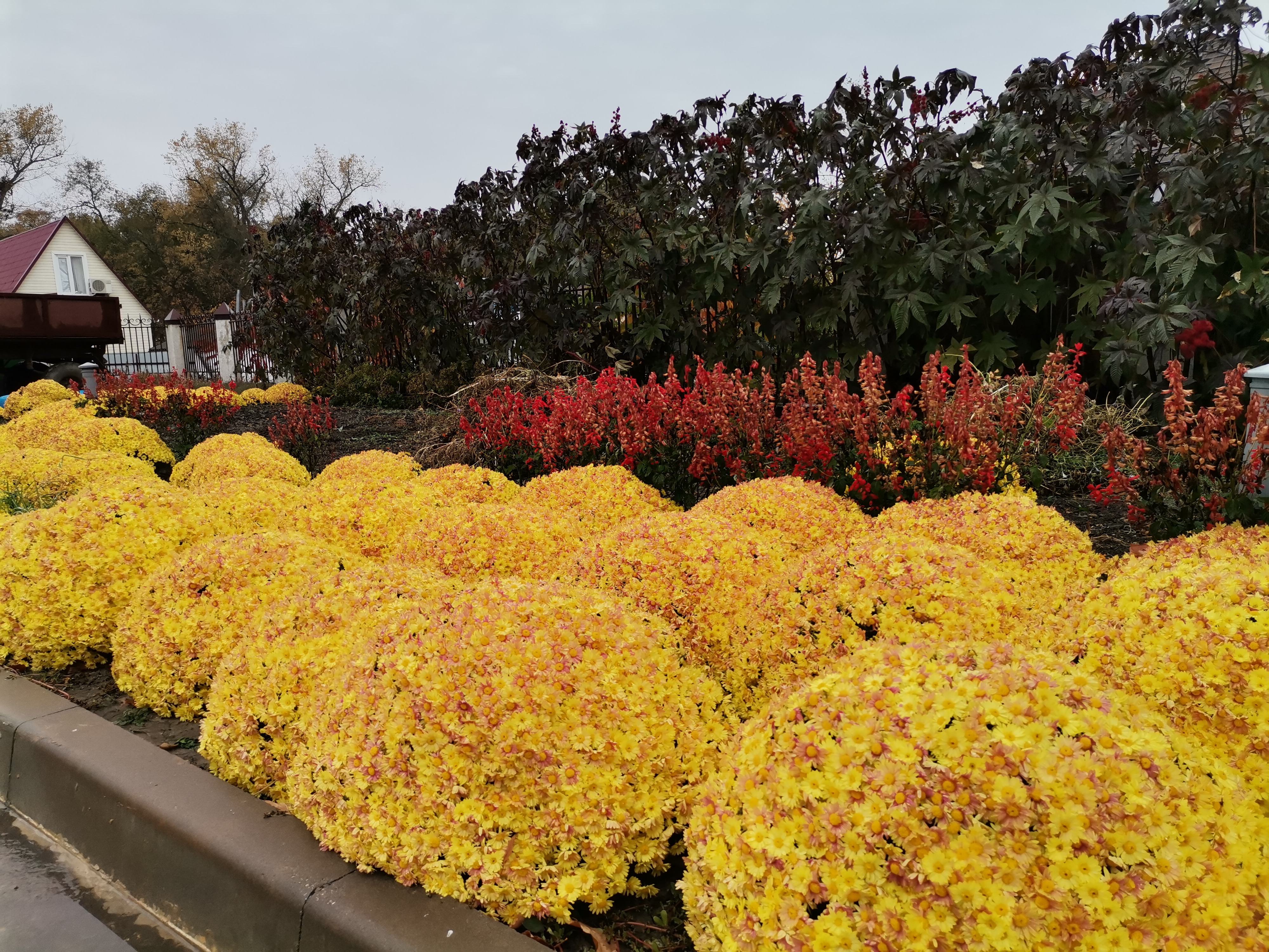 Фото Парк Отель