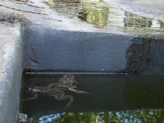 Фото De Doornkraal Vinotel