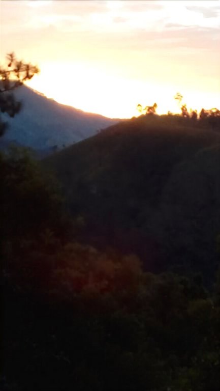 Фото The Lover Stay