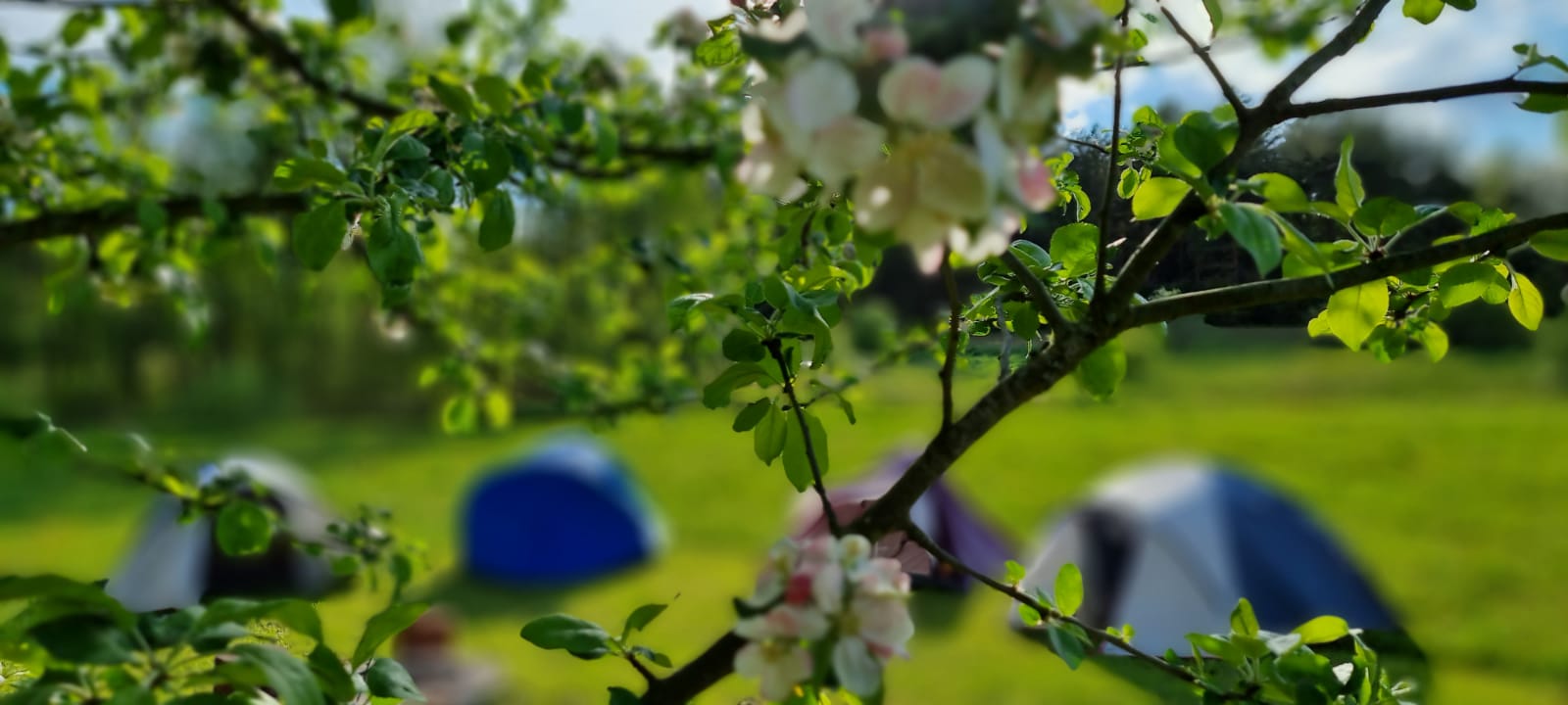 Фото Агроусадьба Лесной Эдем