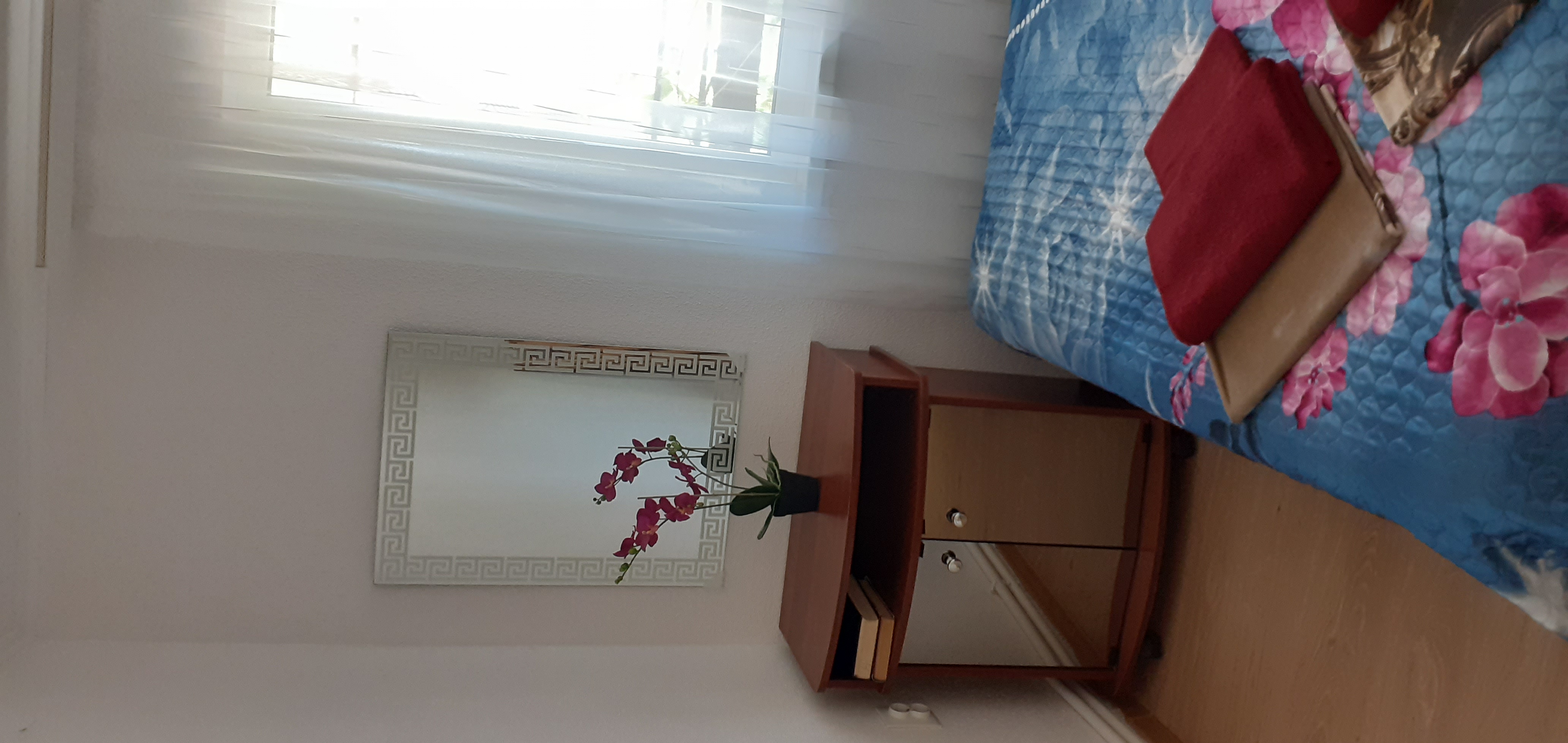 Фото Березка