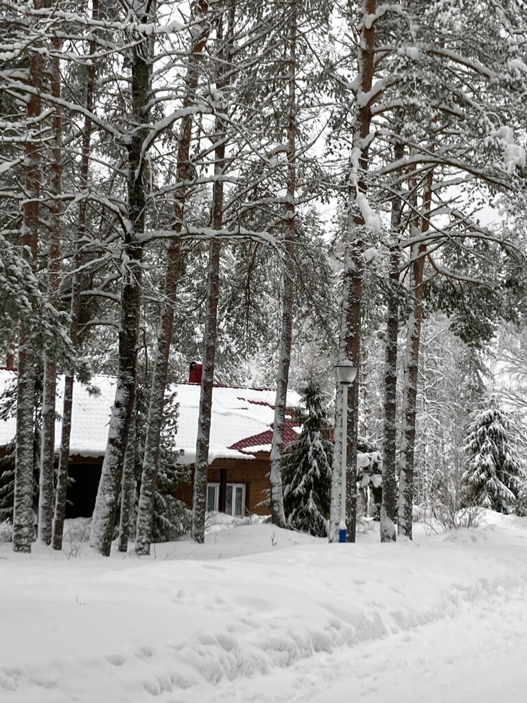 Resort Pukhtolova Gora, Zelenogorsk, photo