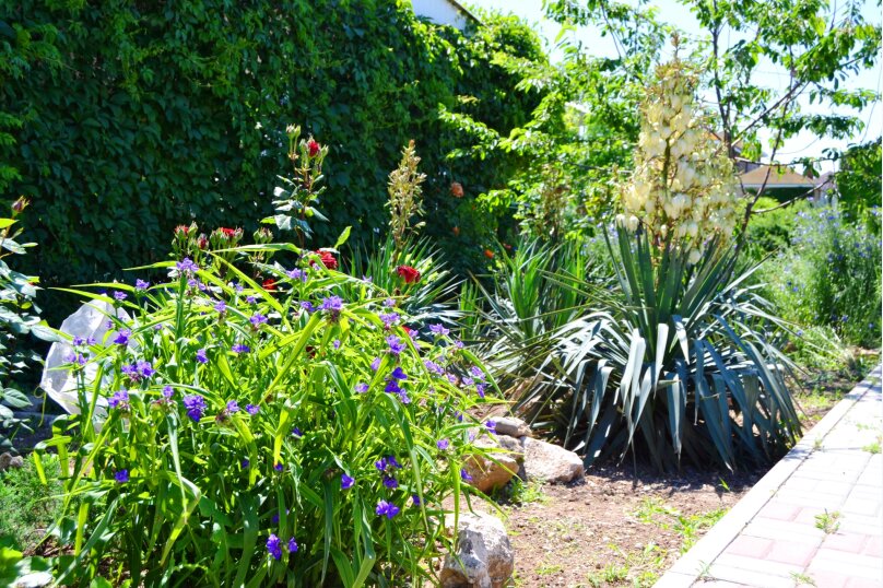 Фото Солнечный домик