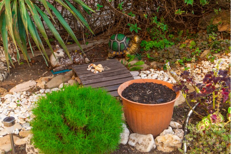 Фото Южная Усадьба