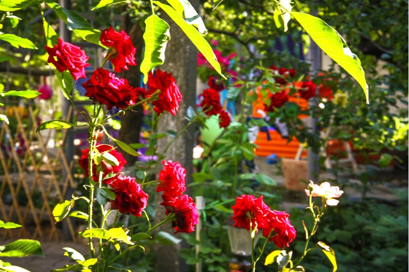 Фото Домашний уют