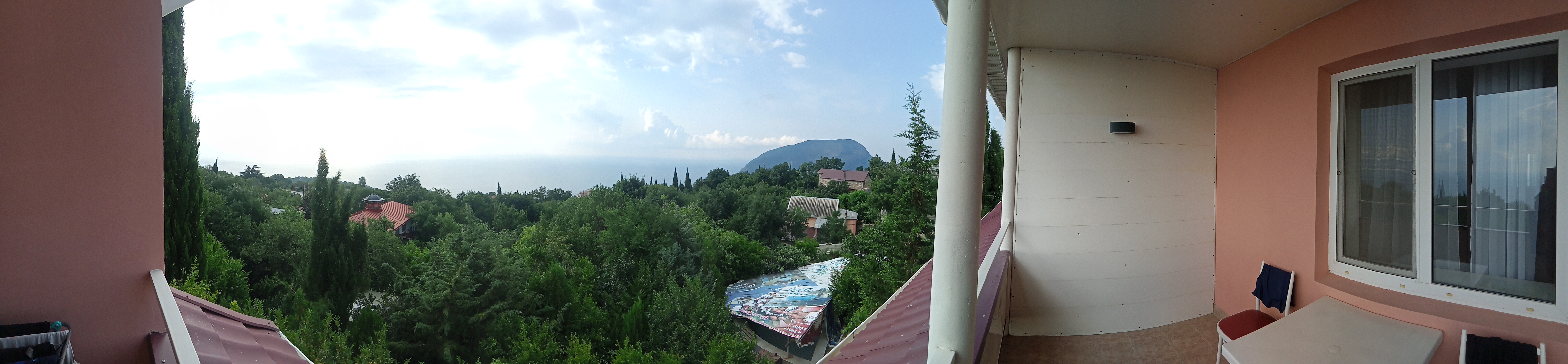 Фото Кипарис