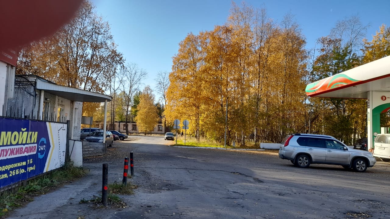 Фото Брусника