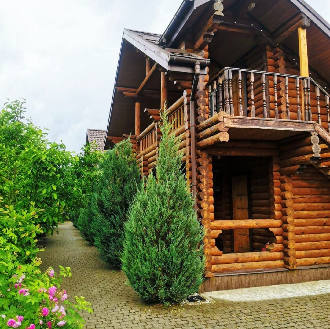 Фото Вербена