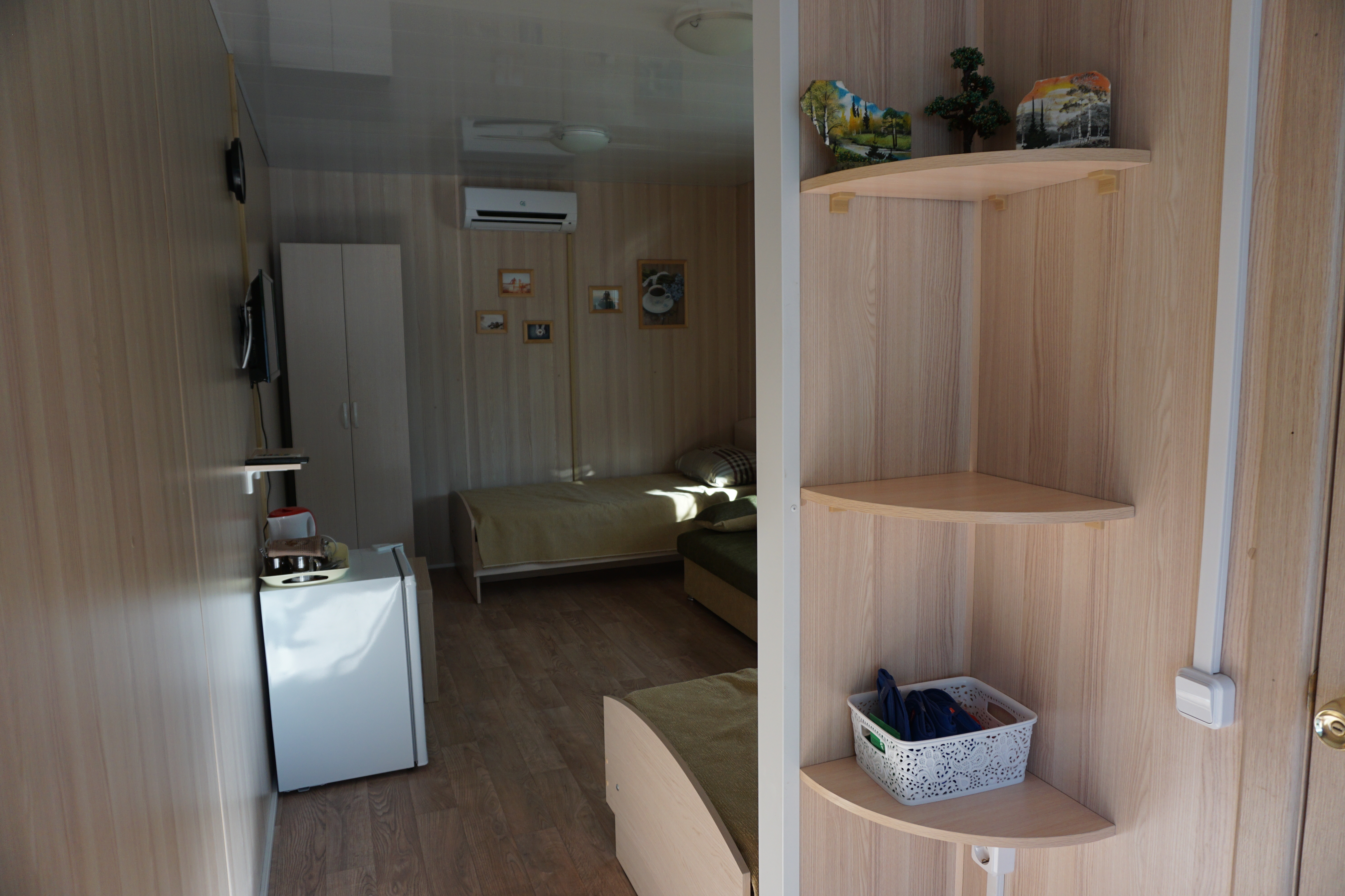 Фото Кофейное дерево